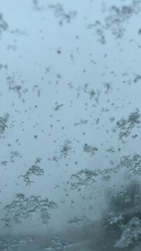 Heavy snowflakes falling and melting on glass