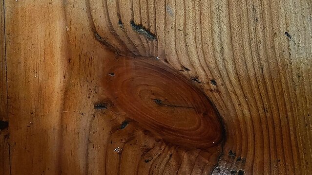 old wood texture