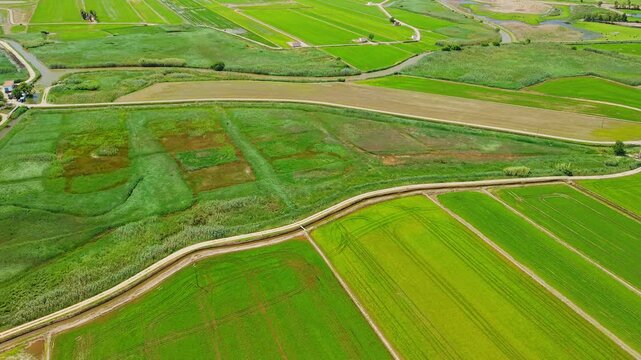 Aerial view of wetlands and rice fields in Ebro Delta Natural Park, Catalonia, Spain, mosaic of agricultural land, marshes, irrigation channels 