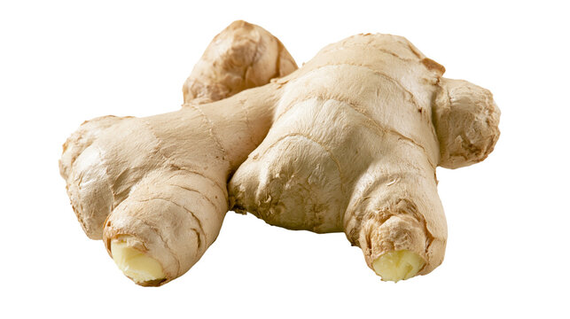 Raw ginger root with textured skin, isolated on transparent background