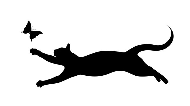 Black cat silhouette reaching for butterfly, isolated on transparent background