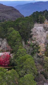 Aerial View of Wentworth Falls Township and Blue Mountains Landscape