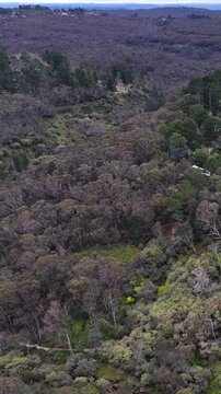 Aerial View of Houses Nestled in Blue Mountains Eucalyptus Forest
