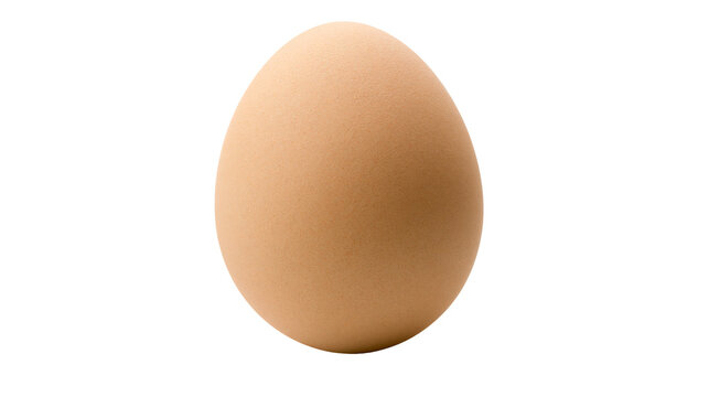 Single brown chicken egg smooth textured shell, isolated on transparent background