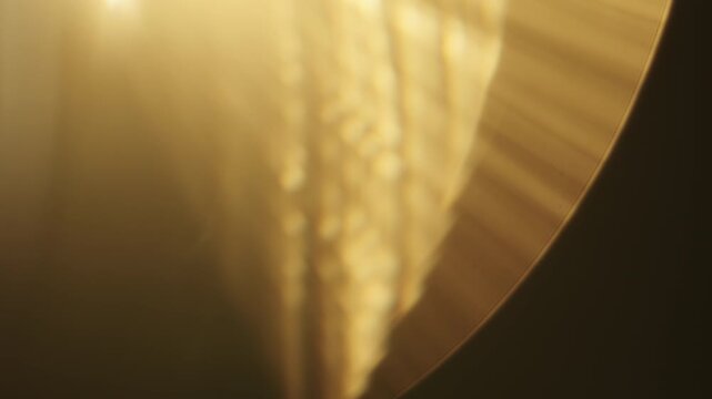Slow motion real lens flare from back sunlight over dark background for overlay