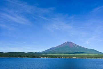 Fototapeta premium 日本山梨の山中湖と夏の富士山
