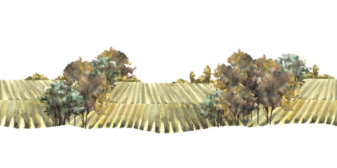 Fototapeta premium Watercolor landscape with vineyards, grape fields, bushes, trees and grape plant. Rural nature seamless border. Winemaking farm hand draw illustration Isolated from background country view pattern.