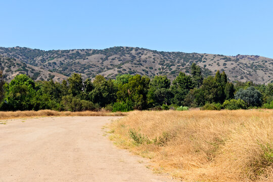 A broad dirt trail curves past golden summer grass toward dense green trees and chaparral-covered foothills beneath a clear blue sky