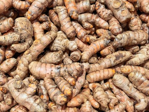 Pile of fresh turmeric roots with visible orange flesh