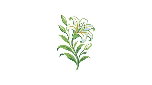Elegant white lily flower illustration with green leaves and buds isolated on white background