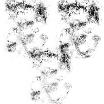 Ink Splatter Rorschach Abstract Brush Texture Black and White Symmetrical Butterfly Mask Grunge Digital Stamp

