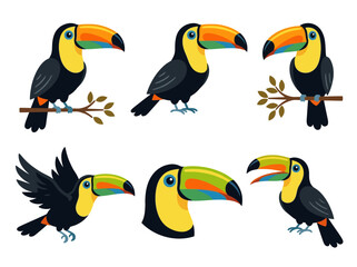 Fototapeta premium A collection of cute cartoon toucans in different poses showcasing their vibrant beaks and tropical charm.