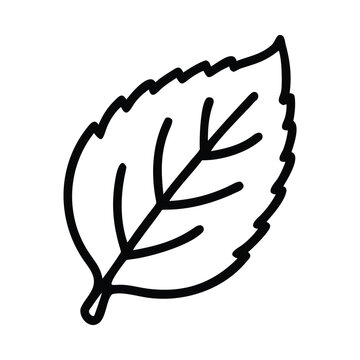 A single mint leaf vector outline
