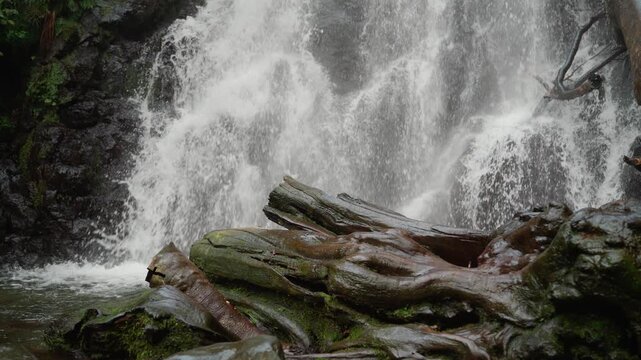 Mountain waterfall with old tree logs in the foreground, Georgia.