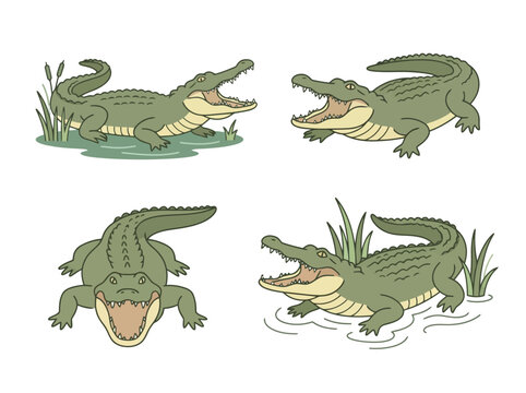 Four different illustrations of green alligators in various poses with their mouths open.