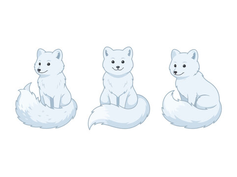 Three cute arctic foxes in different sitting poses.