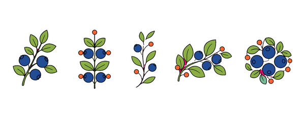 Hand drawn blueberry branch set with leaves and berry wreath © Mark