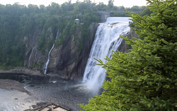 Montmorency Falls and spruce tree - Quebec, Canada