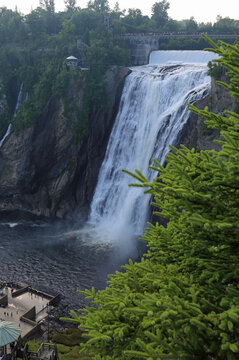 Montmorency Falls and spruce tree vertical - Quebec, Canada