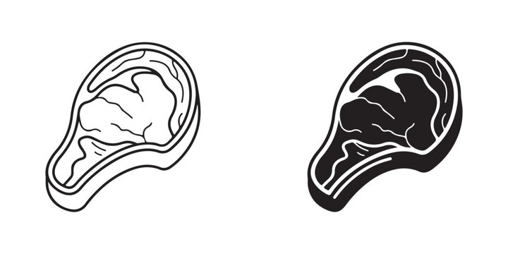 Medical illustration showing cross section views of human ear bone scaphoid or stapes anatomy comparison