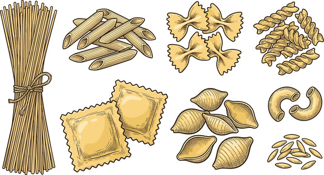 Vintage Italian Pasta Varieties Vector Element Set with Spaghetti Bundle, Penne, Farfalle, Fusilli, Conchiglie Shells, and Ravioli for Restaurant Menu Culinary Designs