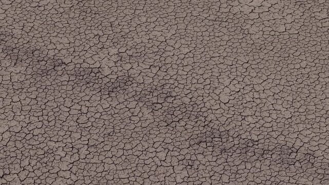 A close-up view of completely dry, cracked earth creates a detailed natural pattern across the entire frame.