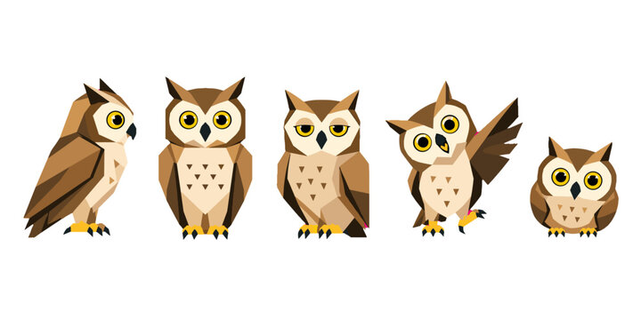 Set of low poly owl characters in different poses