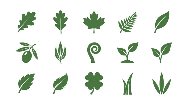 Collection of green leaf shapes and botanical silhouettes on a white background leaves foliage plant