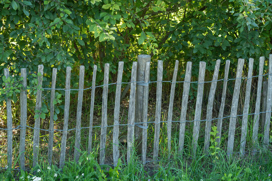 Rustic wooden fence slats stand framed by dense green foliage and overhanging tree branches. A central wooden post anchors the wire fencing amid the shaded garden setting.