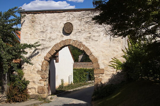 Ruin of the monastery "Rosa Coeli" in Dolni Kounice,Czech Republic,Europe
