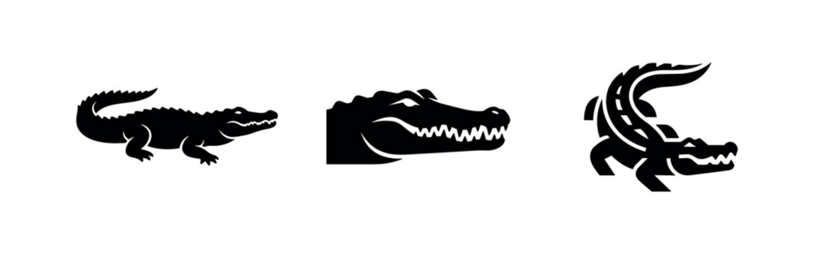Alligator and crocodile icon set. Wild reptile in profile, head, and aggressive pose, black silhouette illustration.