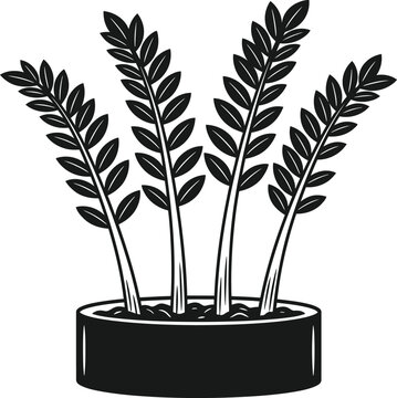 Zamia plant silhouette isolated on transparent background modern botanical illustration