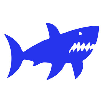 Shark Solid Animal Fauna Wildlife