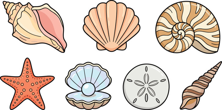Marine sea life elements set featuring various seashells conch scallop nautilus starfish sand dollar and open oyster shell with pearl vector illustration