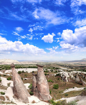 Landscape of world-famous fairy chimneys and mushroom-shaped rocks. Symbol of Cappadocia - Fairy Chimney (Multihead stone mushrooms), Pasabag Valley, Anatolia, Turkey. Topic of travel, trip, vacation
