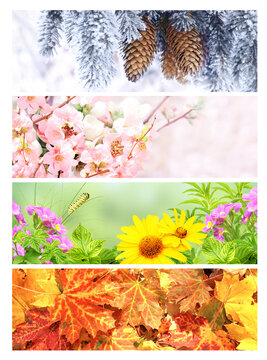 Four season of year. Set of horizontal nature banners. Each one features scene of nature, from the gentle snowfall of winter to the vibrant leaves of summer. Perfect for showcasing changing seasons