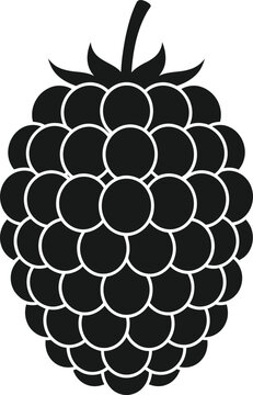 Black raspberry silhouette isolated on transparent background vector illustration