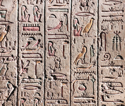 Egyptian hieroglyph on wall, Karnak Temple Complex, Luxor, Egypt. Stone carvings with hieroglyphs, Thebes. Hieroglyphic carvings on ancient stone wall. Egyptian symbol and historical relief artwor