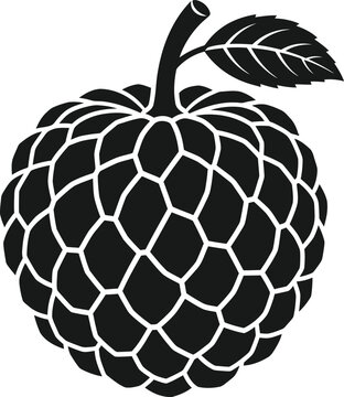 Soursop silhouette isolated on transparent background tropical fruit vector illustration