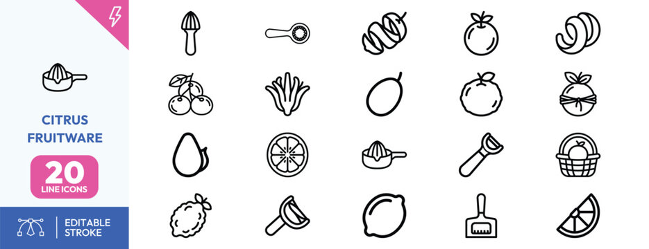 Citrus preparation set. juicer, peeler, knife, basket, citrus slices, lemon, lime, mango, tomato, onion, garlic, scissors, grater. Editable stroke. Vector illustration.