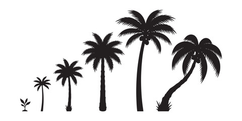 Fototapeta premium Palm Tree Silhouette Collection Coconut Palm Tropical Tree Vector Set