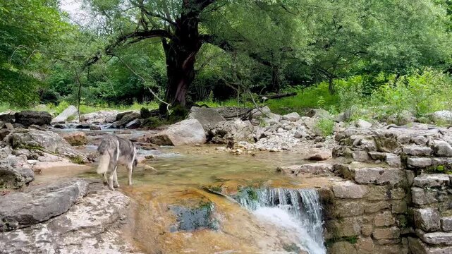 Picturesque river with cascades in Okatse canyon in Georgia
