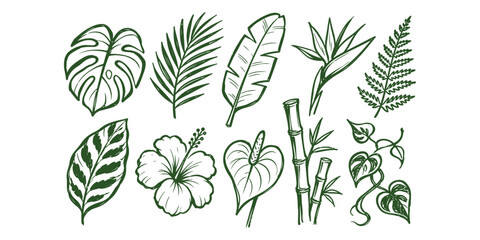 Naklejka premium Tropical leaves and exotic flowers botanical doodle element collection set, Vector Illustration