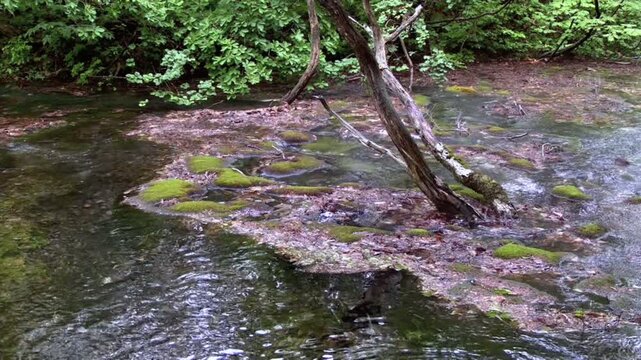 獅子ヶ鼻湿原鳥海まりも