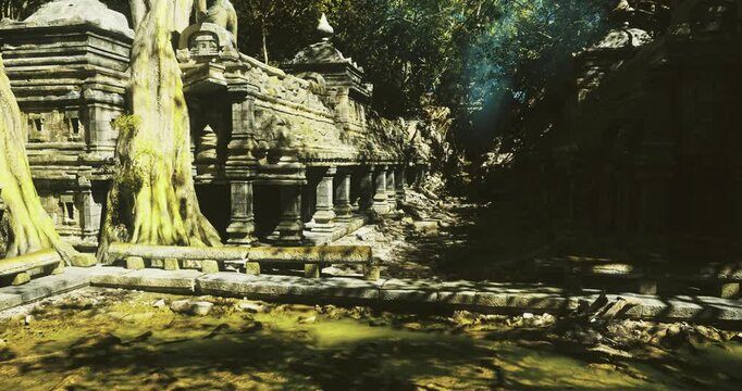 sunlit colonnade overtaken by lush overgrowth historian mapping architectural details while vines and lichen soften hard stone edges, golden light accentuates