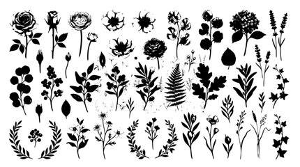 Obraz premium Elegant Watercolor Botanical Flower Vector Collection Hand Painted Floral Elements