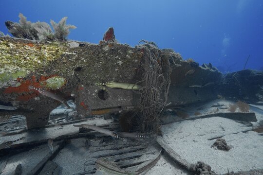 Underwater view of a shipwreck on the ocean floor with rusty metals and fish, meteor wreck dive site, Russian hydrofoil, Arguineguin, Gran Canaria, Spain, Europe, Atlantic