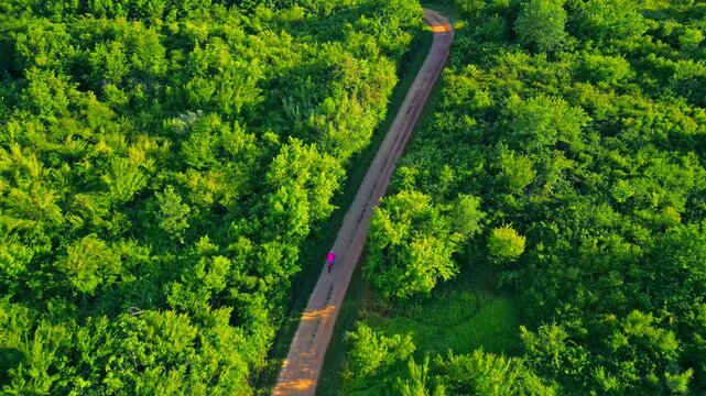 A senior adult cyclist navigates a winding path through a lush, green forest, embodying an active lifestyle and enjoying a recreational pursuit.