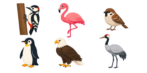 Obraz premium Set of six colorful cartoon bird illustrations on white