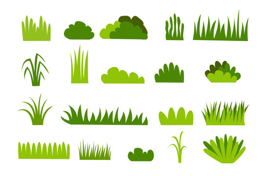 Collection of grass. grass tree set isolated on white background. vector illustration.